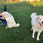 Zen Chateau De La Bouchatte
