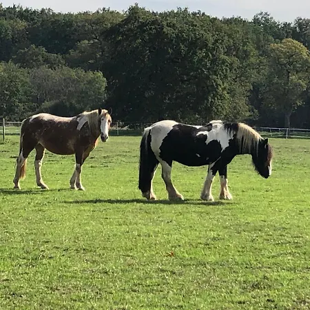 Zen Chateau De La Bouchatte בית הארחה