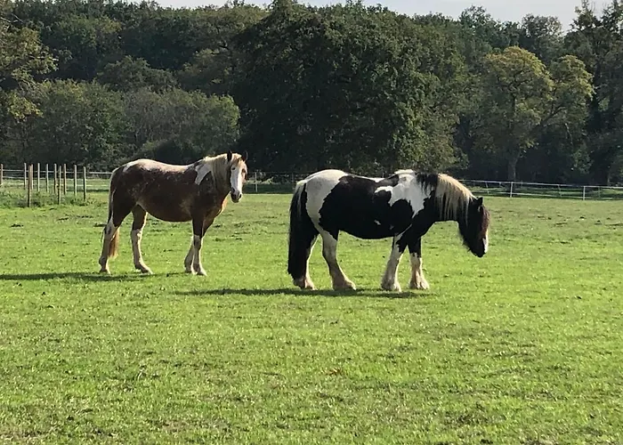 Zen Chateau De La Bouchatte Guest house